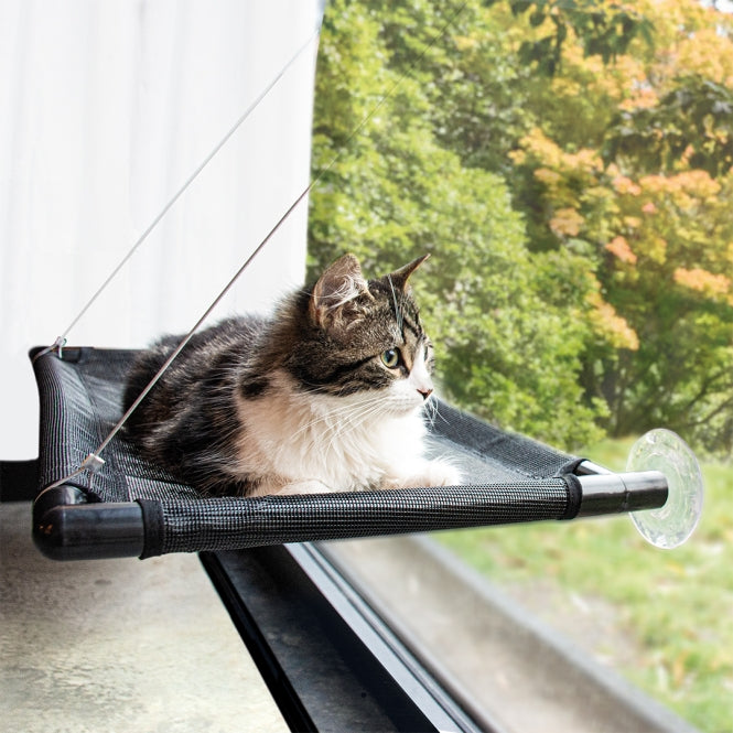 Fensterhängematte für Katzen – schwarz