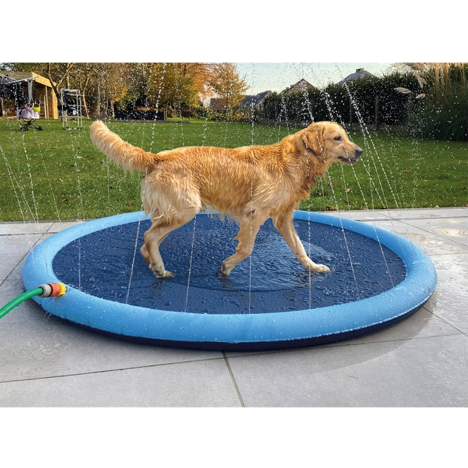 Wasserspielmatte für Hunde – Splash