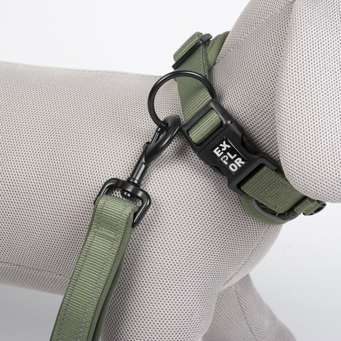 Hundehalsband – EXPLOR Ultimate Fit Control Classic – Bild 6