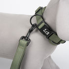 Hundehalsband – EXPLOR Ultimate Fit Control Classic – Bild 6