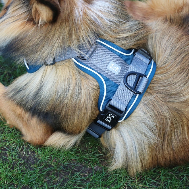 No-Pull-Geschirr für Hunde – EXPLOR Ultimate Fit – Bild 4