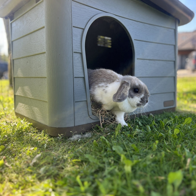 Tierhaus für Hunde – Pepita Eco – Bild 2