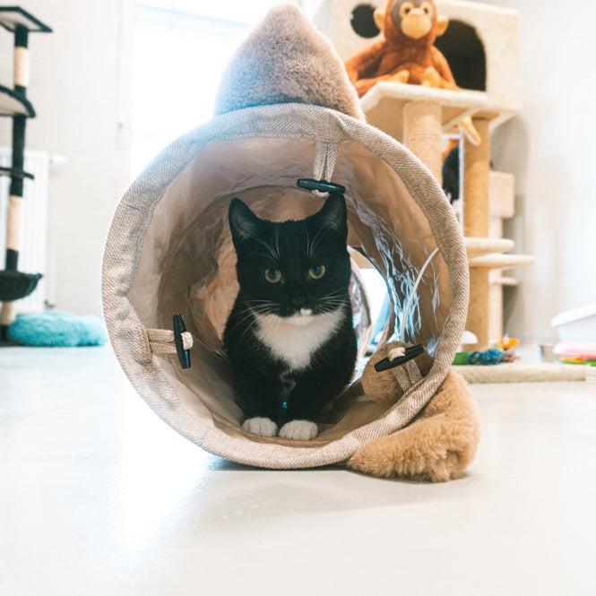 Spieltunnel für Katzen – Cozette 90 x 25cm – Bild 2