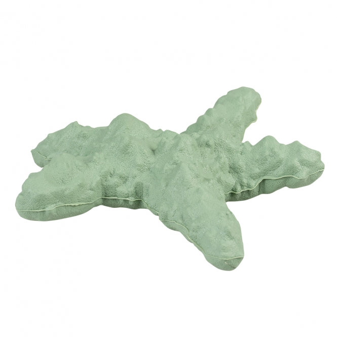 Wurfspielzeug für Hunde – Eco Gummi Seestern – Bild 7