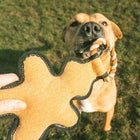 Plüschspielzeug für Hunde – Canvas Lebkuchenmann – Bild 5
