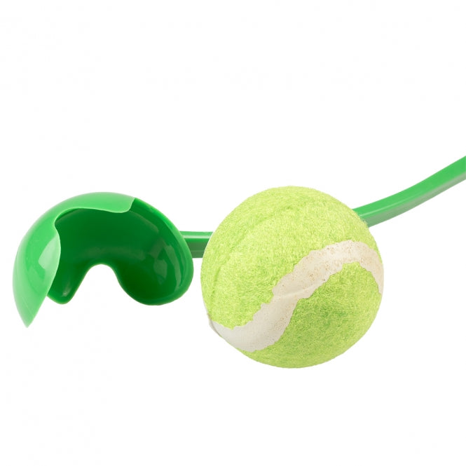 Hundeball – Tennisballwerfer – Bild 3
