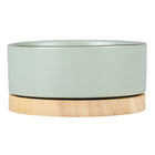 Keramiknapf für Hunde – Stone Timber grün, 450ml – Bild 2