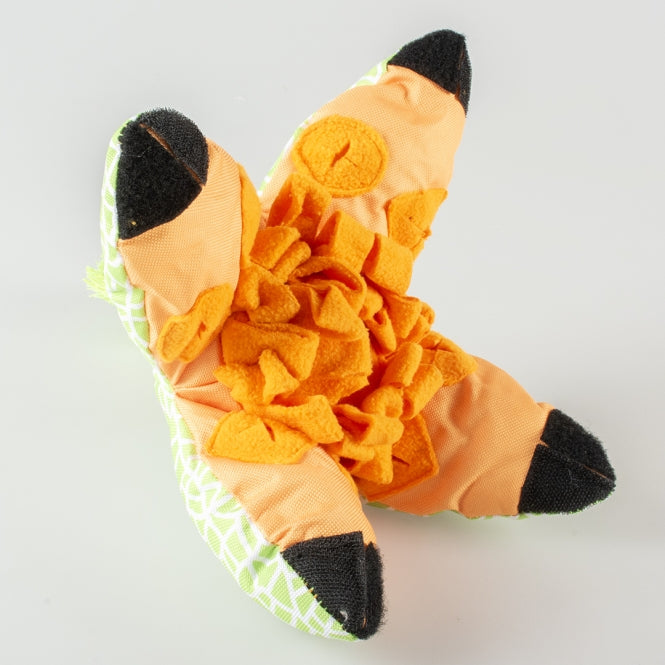 Snackspielzeug für Hunde – Melone – Bild 2