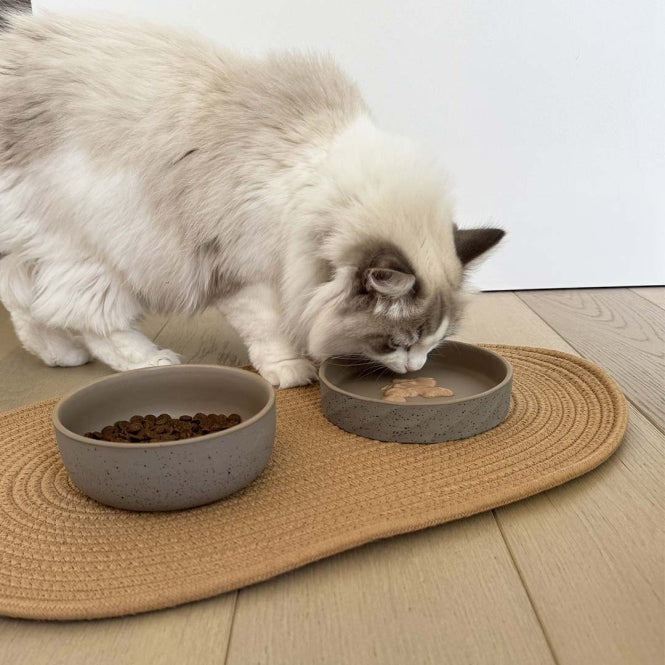 Keramiknapf für Hunde – flacher Stone Wavy Dune – Bild 6
