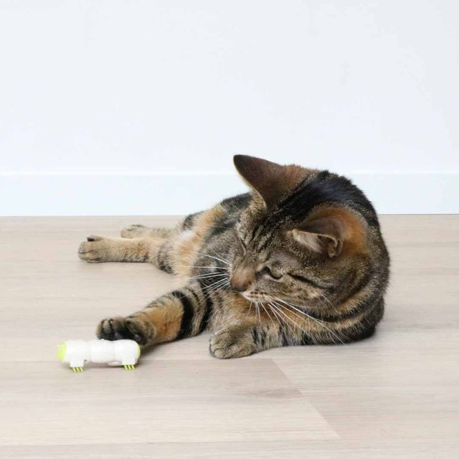 Beschäftigungsspielzeug für Katzen – Cat Toy Buzzing Caterpillar – Bild 2