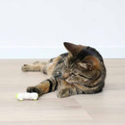 Beschäftigungsspielzeug für Katzen – Cat Toy Buzzing Caterpillar – Bild 2