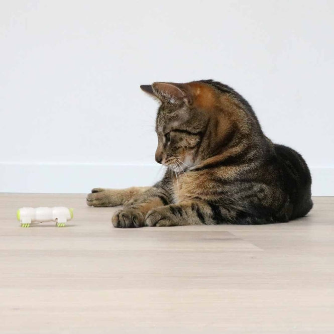 Beschäftigungsspielzeug für Katzen – Cat Toy Buzzing Caterpillar – Bild 3