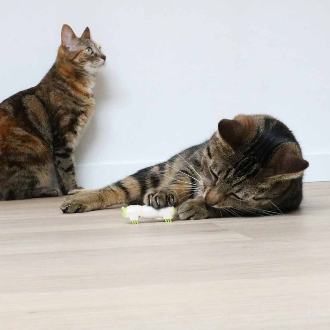 Beschäftigungsspielzeug für Katzen – Cat Toy Buzzing Caterpillar – Bild 4