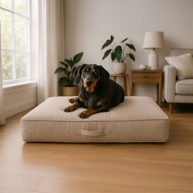 Ortho-Matratze für Hunde – Duratex – Bild 5