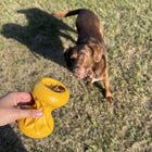 Futterspielzeug für Hunde – Griplay Sanduhr – Bild 4