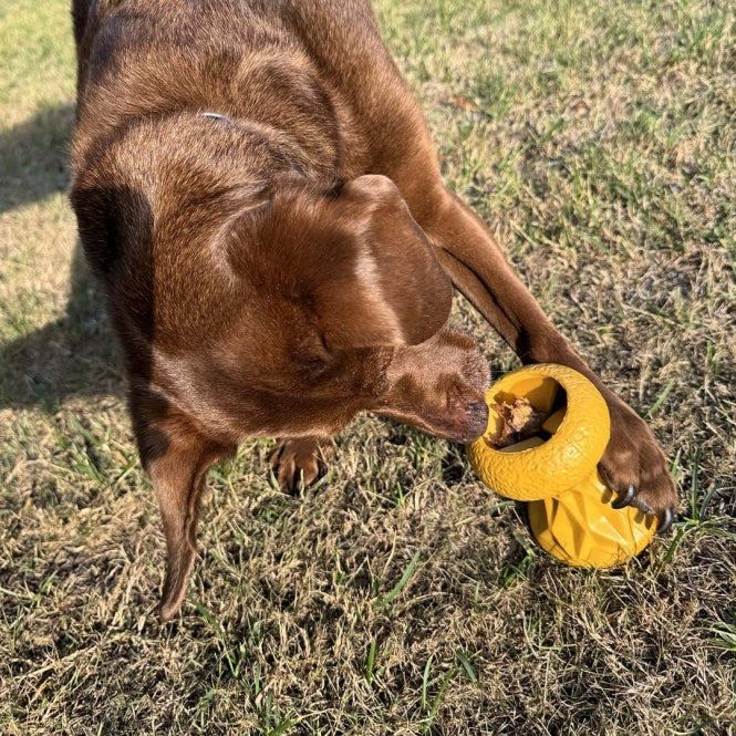 Futterspielzeug für Hunde – Griplay Sanduhr – Bild 5