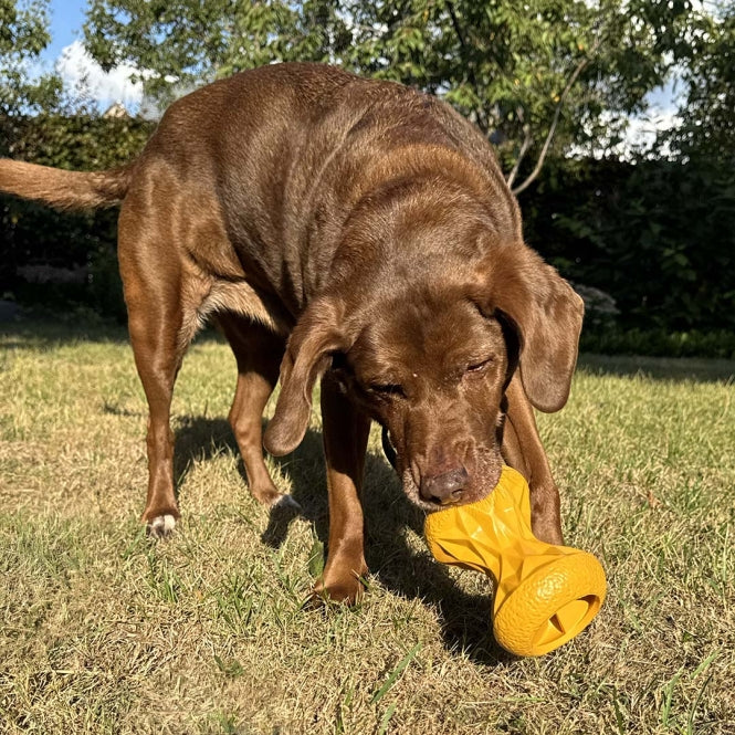 Futterspielzeug für Hunde – Griplay Sanduhr – Bild 6