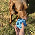 Hundeball – Griplay Dental Rippe – Bild 9