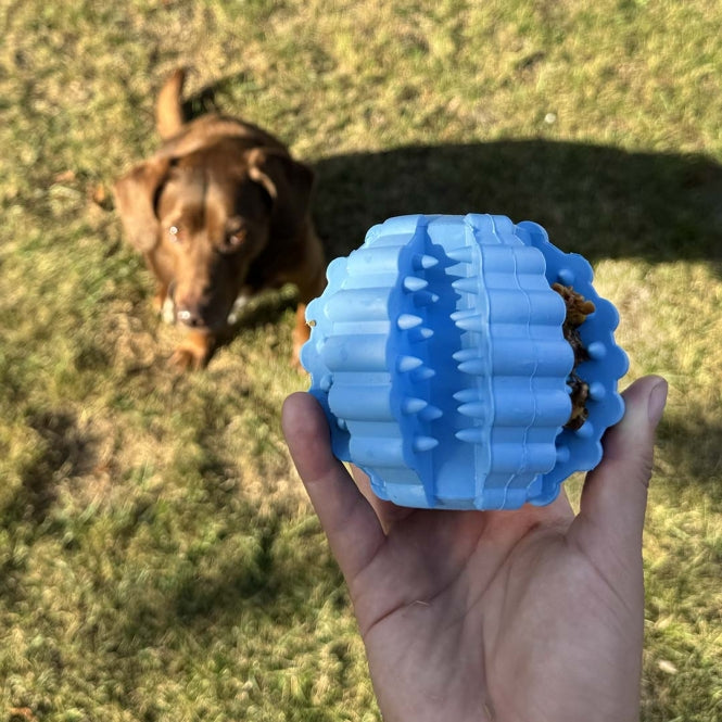 Hundeball – Griplay Dental Rippe – Bild 10