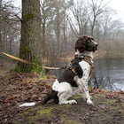 No-Pull-Geschirr für Hunde – EXPLOR Ultimate Fit – Bild 17