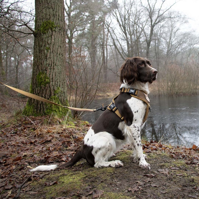 No-Pull-Geschirr für Hunde – EXPLOR Ultimate Fit – Bild 17