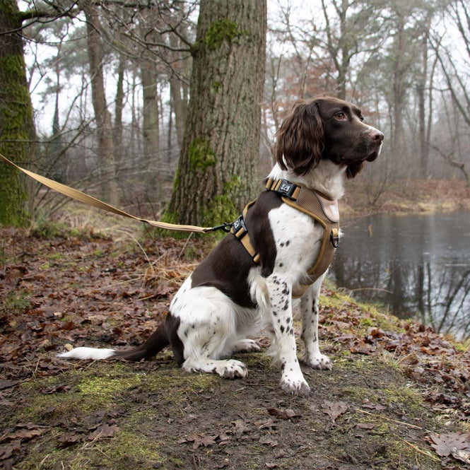 No-Pull-Geschirr für Hunde – EXPLOR Ultimate Fit – Bild 18