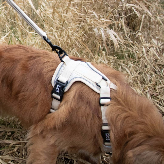No-Pull-Geschirr für Hunde – EXPLOR Ultimate Fit – Bild 35