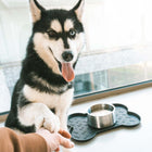 Knochen für Hunde – Napfunterlage ECO, schwarz – Bild 4