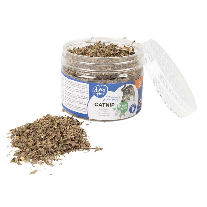 Katzenminze Spielzeug – Dose 30g – Bild 2