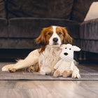 Plüschspielzeug für Hunde – Eco Hund Onne – Bild 6