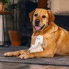 Plüschspielzeug für Hunde – Eco Kuscheltuch Nory – Bild 6