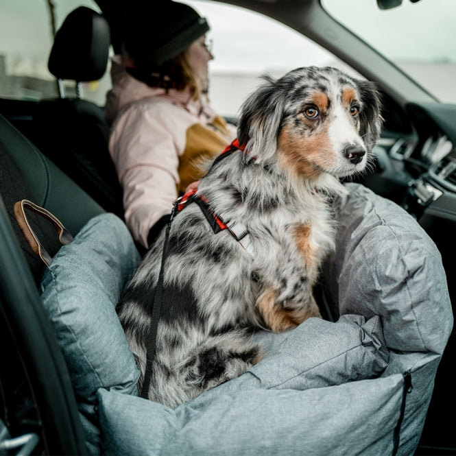 AutositzReisebett für Hunde – Bena, hellgrau – Bild 3
