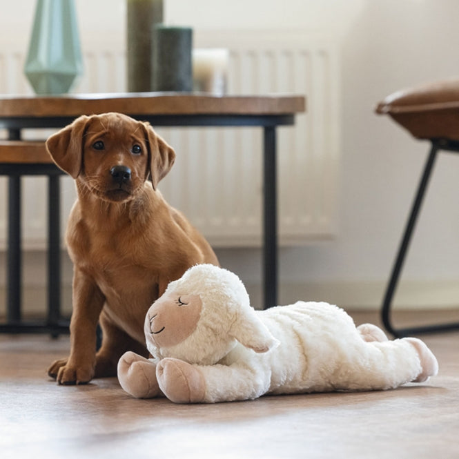 Kuschelspielzeug für Hunde – Beeztees Puppy Bowi – Bild 5