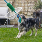 Hundeball – Kino + Ball, 90 x 10 x 6 cm – Bild 6