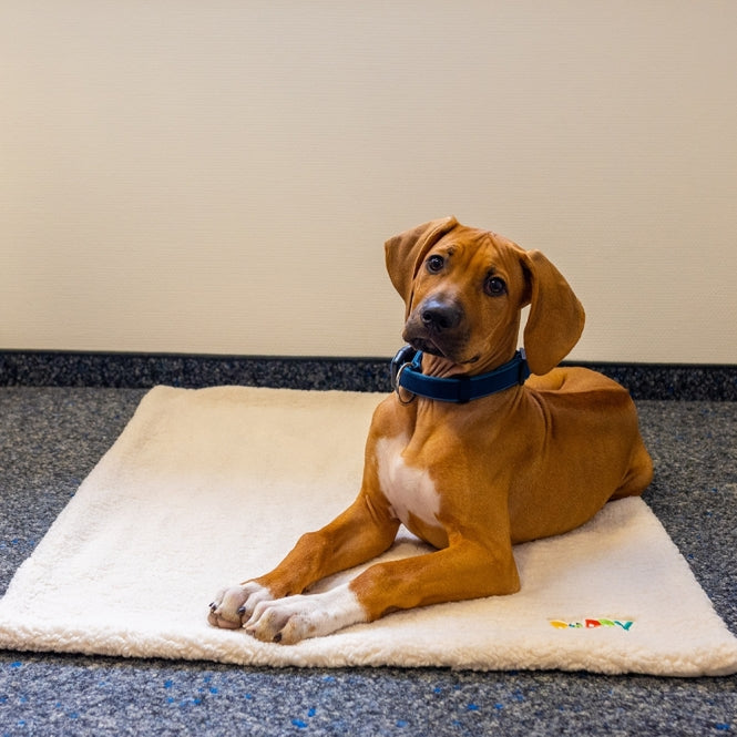 Liegematte für Hunde – Puppy, elfenbeinfarben – Bild 3