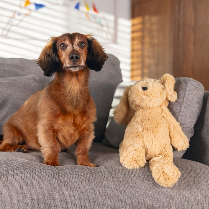 Plüschspielzeug für Hunde – Hund Vajen – Bild 2