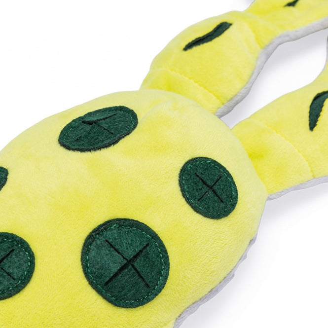 Intelligenzspielzeug für Hunde – Hide And Seek Frosch – Bild 3