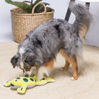 Intelligenzspielzeug für Hunde – Hide And Seek Frosch – Bild 4