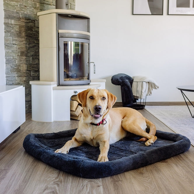 Hundematte – Bian – Bild 3