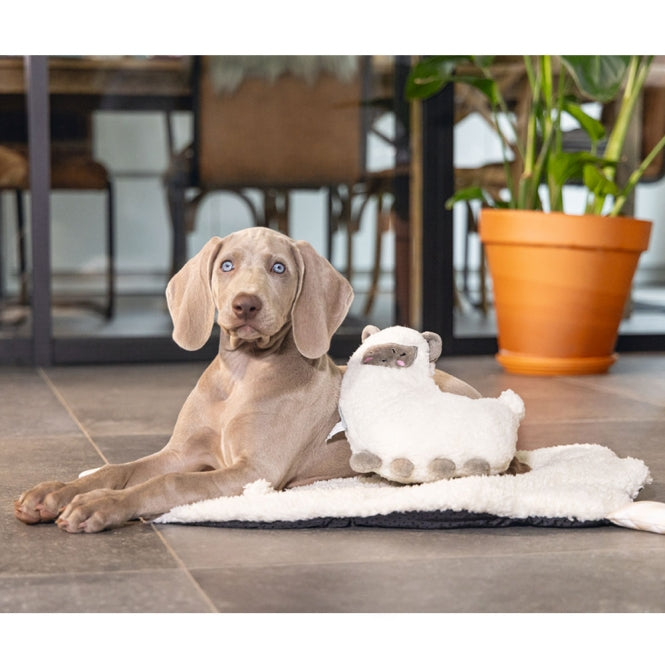 Welpenspielzeug – Puppy Lama – Bild 2