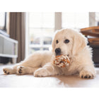 Seilring für Hunde – Puppy Dental Mik – Bild 5