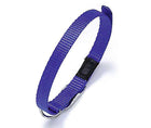 Hundehalsband – ASP