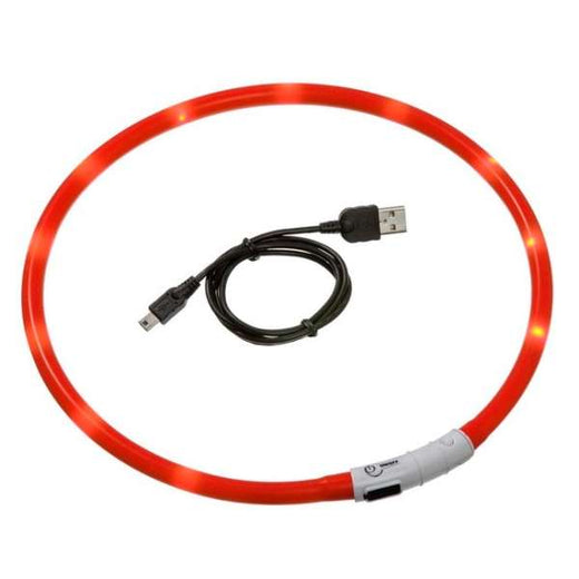 Leuchthalsband für Hunde – Visio Light LED-Leuchtschlauch mit USB