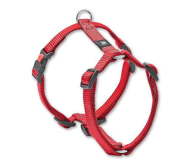 Hundegeschirr – ASP – Bild 7