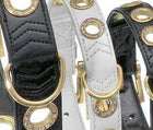 Hundehalsband – NOBLE LINE – Bild 3