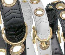 Hundehalsband – NOBLE LINE – Bild 6