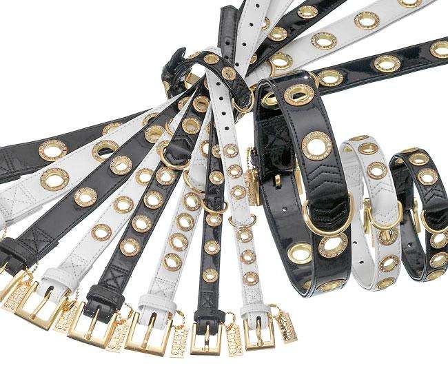 Hundehalsband – NOBLE LINE – Bild 4