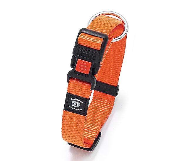 Hundehalsband – ASP verstellbar – Bild 10