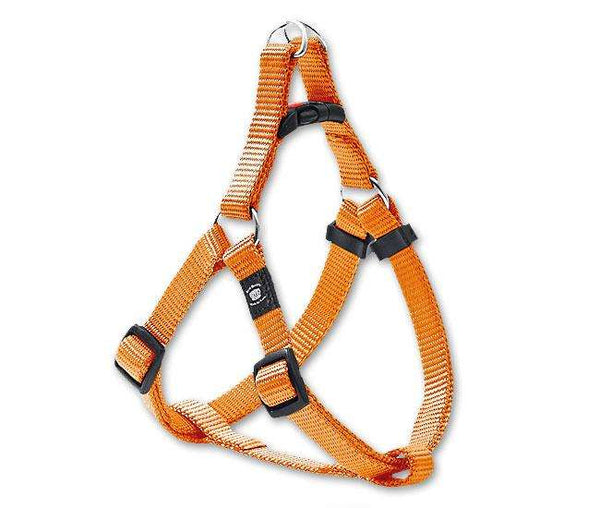Hundegeschirr – ASP Step&Go