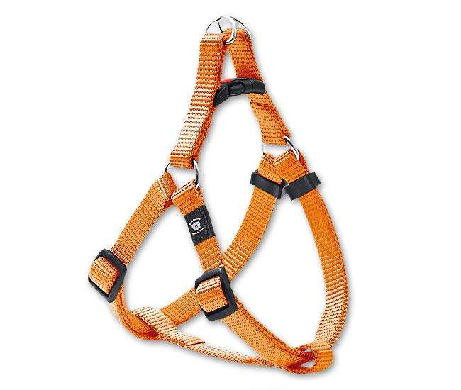 Hundegeschirr – ASP Step&Go – Bild 4